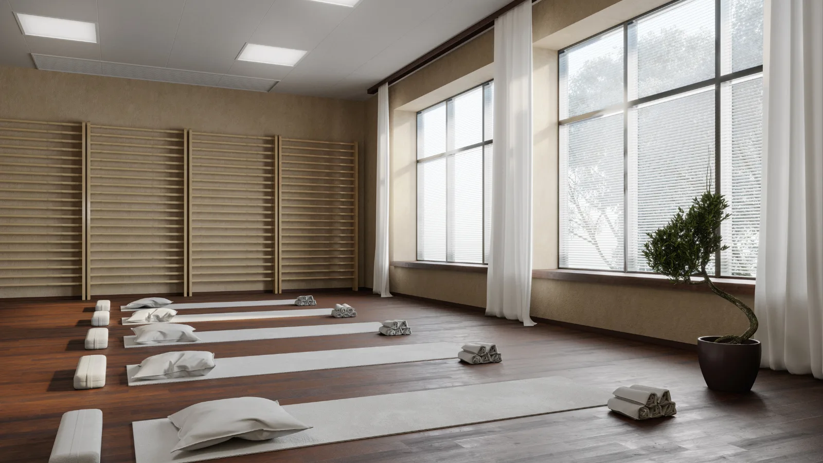 Gallery 1 - Vibe Wellness Yoga
