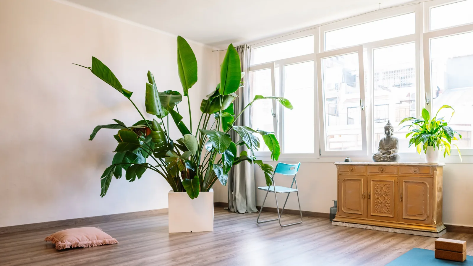 Gallery 5 - Vibe Wellness Yoga